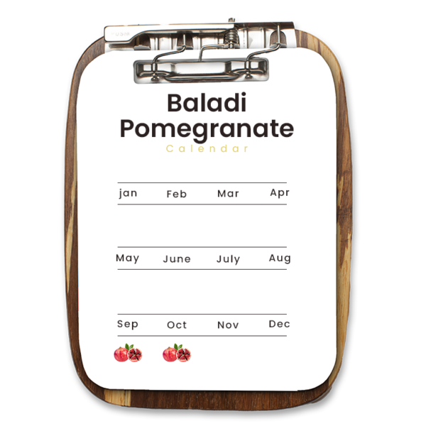 Baladi Pomegranate - Image 2