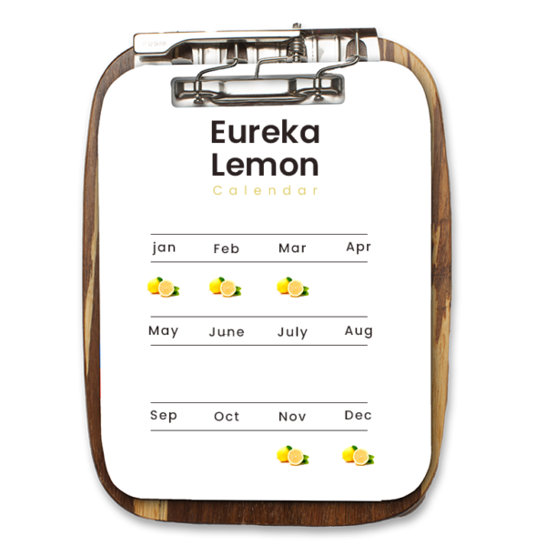 Eureka Lemon - Image 2