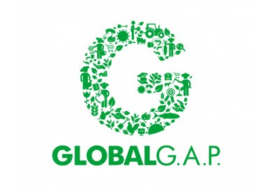 Global GAP 1