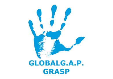 Global GPA