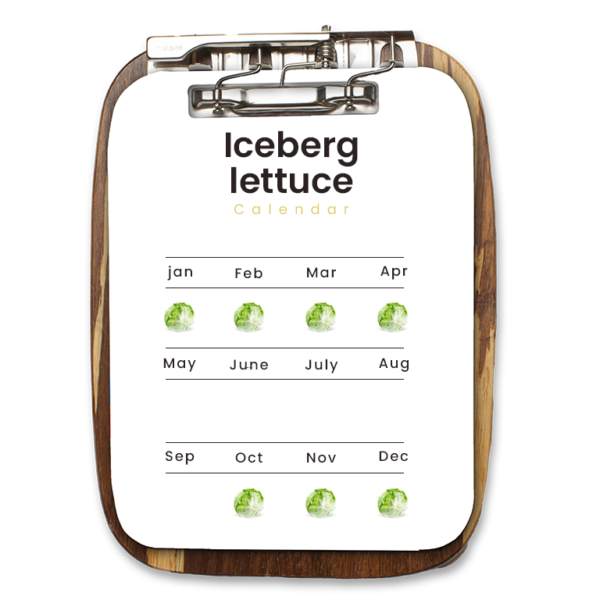 Iceberg lettuce - Image 2