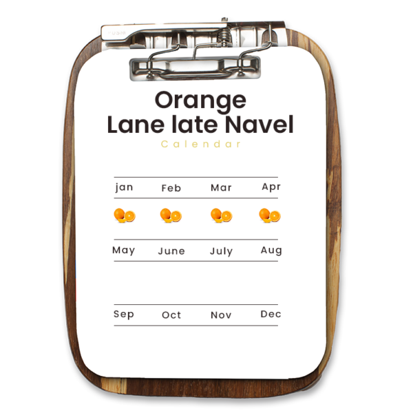 Lane late Navel Orange - Image 2