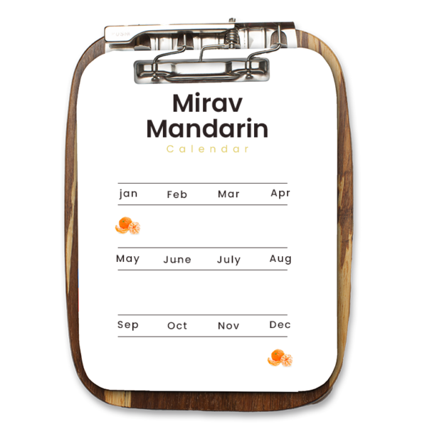 Mirav Mandarin - Image 2