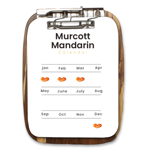 Murcott Mandarin - Image 2