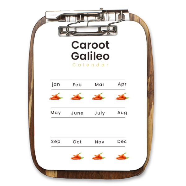 Carrot Galileo - Image 2