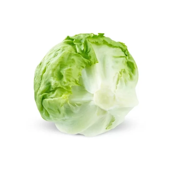 Iceberg lettuce